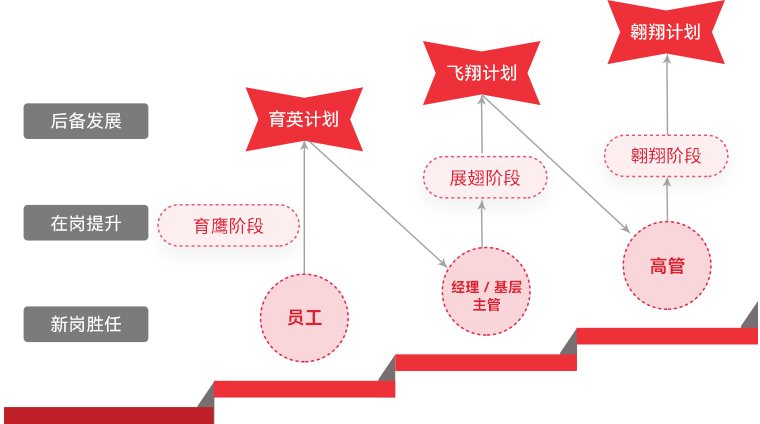 爱游戏平台-爱游戏（中国）一站式服务平台 "雄鹰计划"人才梯队培养