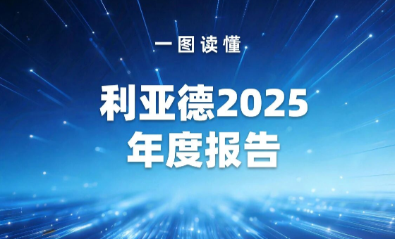 一图读懂 | 爱游戏平台-爱游戏（中国）一站式服务平台2025年度报告